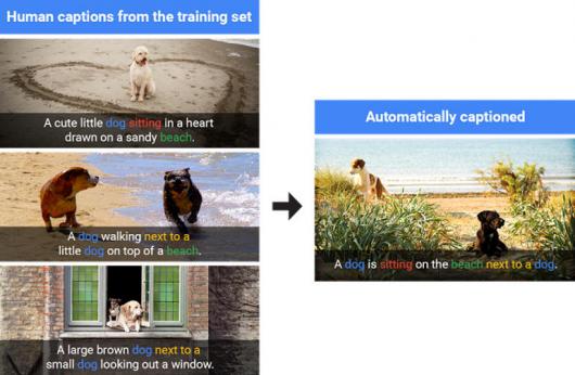 Google открыла инструмент для «умного» описания изображений